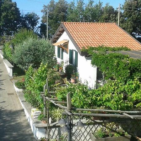 The Cottage أَجيرولا المظهر الخارجي الصورة