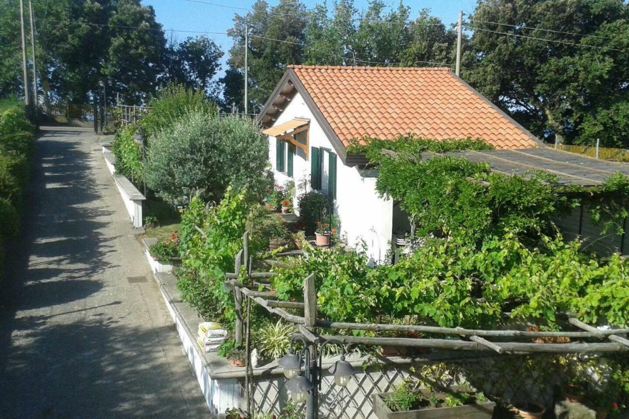 The Cottage أَجيرولا المظهر الخارجي الصورة