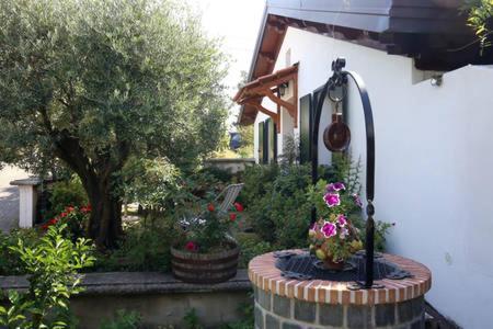 The Cottage أَجيرولا المظهر الخارجي الصورة